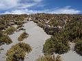 Coipasa Salt Flats (26)